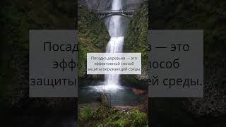 Переведите предложения по теме "Окружающая среда". Уровень B1 #английский #английскийязык #shorts