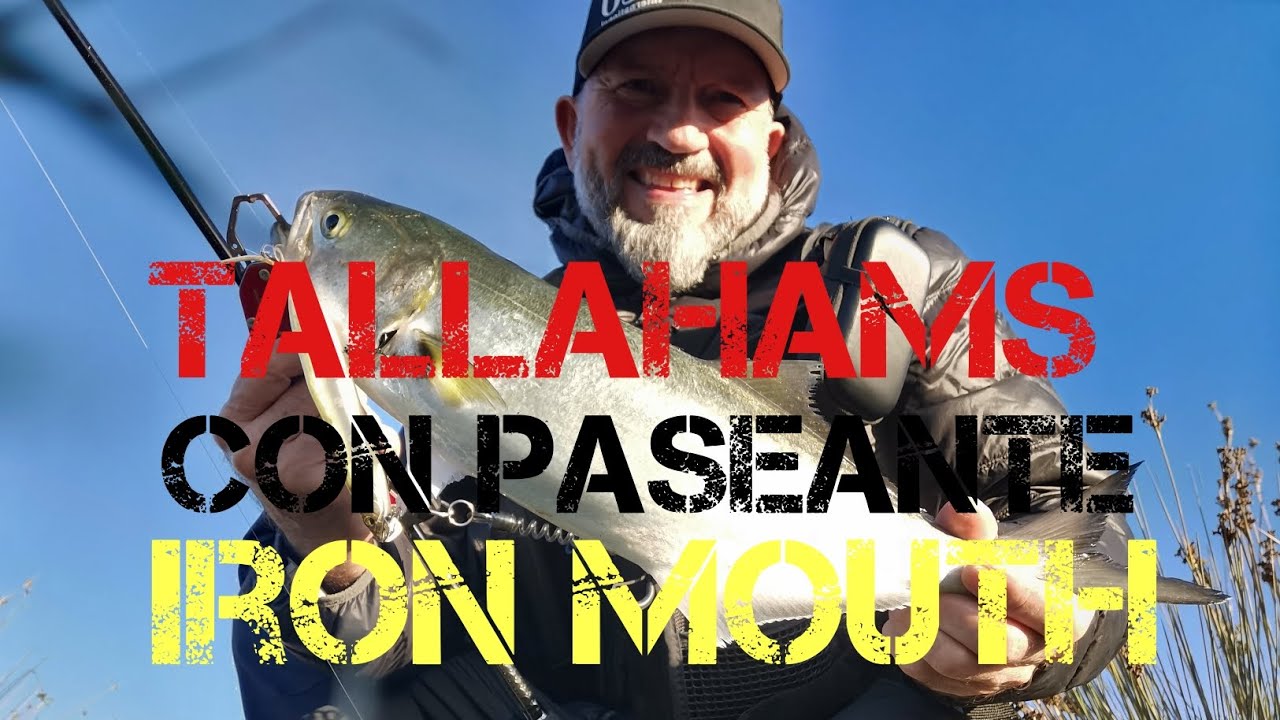 IRON MOUTH, PASEANTE TOP.