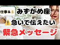 【水瓶座】鳥肌級のシンクロ＆今すぐ受け取って下さい❗️❣️＃タロット、＃オラクルカード、＃当たる、＃占い
