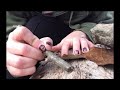 Random ASMR in nature 🌱 lofi