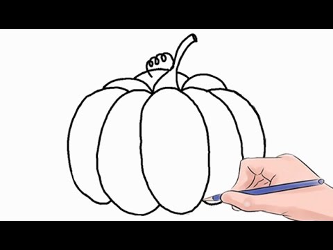 How to Draw a Pumpkin Easy Step by Step - YouTube