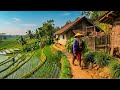 Kembali Bernostalgia!!️Berasa Kejaman Dulu, Rumah Panggung DiKampung Terbersih Di Pelosok Subang