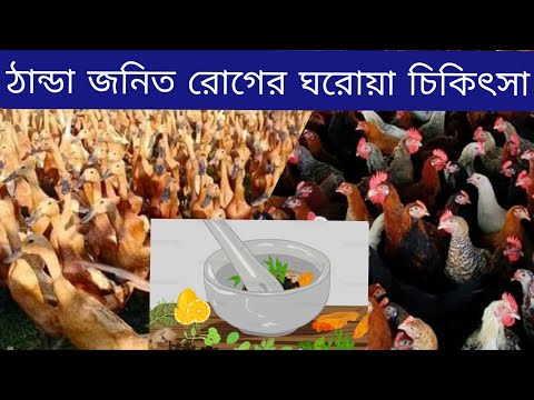 ভিডিও: কিভাবে একটি সরীসৃপ খাঁচা তৈরি করবেন: 12 টি ধাপ (ছবি সহ)