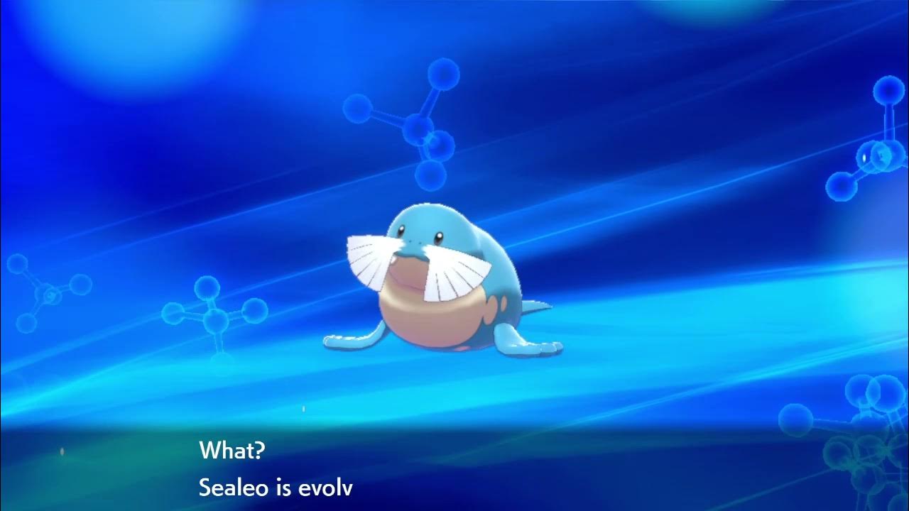 What? Sealeo is evolving! YouTube
