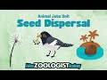 Seed Dispersal Quiz