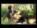 The lion whisperer  kevin richardson and his lions  south africa  amazing bond with animals