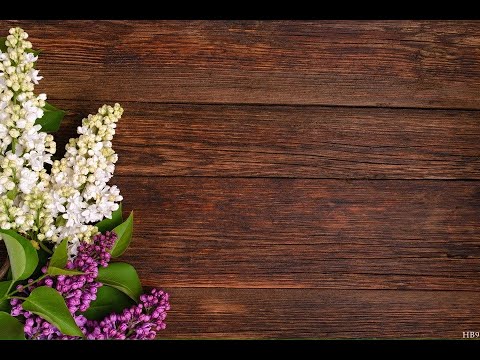 Video Truyện Tâm Lý Xã Hội | NGHỀ LÀM GÁI - ĂN NẰM VỚI CHA... - youtube