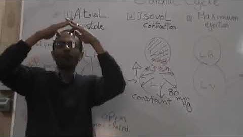 CVS Cardiac Cycle 1 Systole Dr Mohamed Fayez