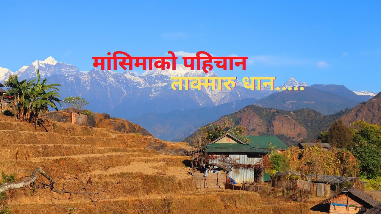 mangsima yatra-2076 || मांसिमा यात्रा || (Documentary-02)