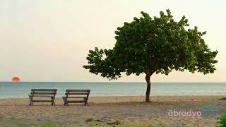 Güzellik Hüzün Verir Inandım Buna...