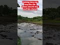 buhay probensya tahimik maganda ang mga paligid