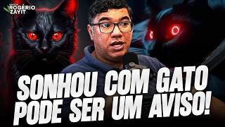SONHOU COM GATO? ENTENDA O QUE PODE SIGNIFICAR VOCÊ NÃO IGNORE ESSE TIPO DE SONHO!