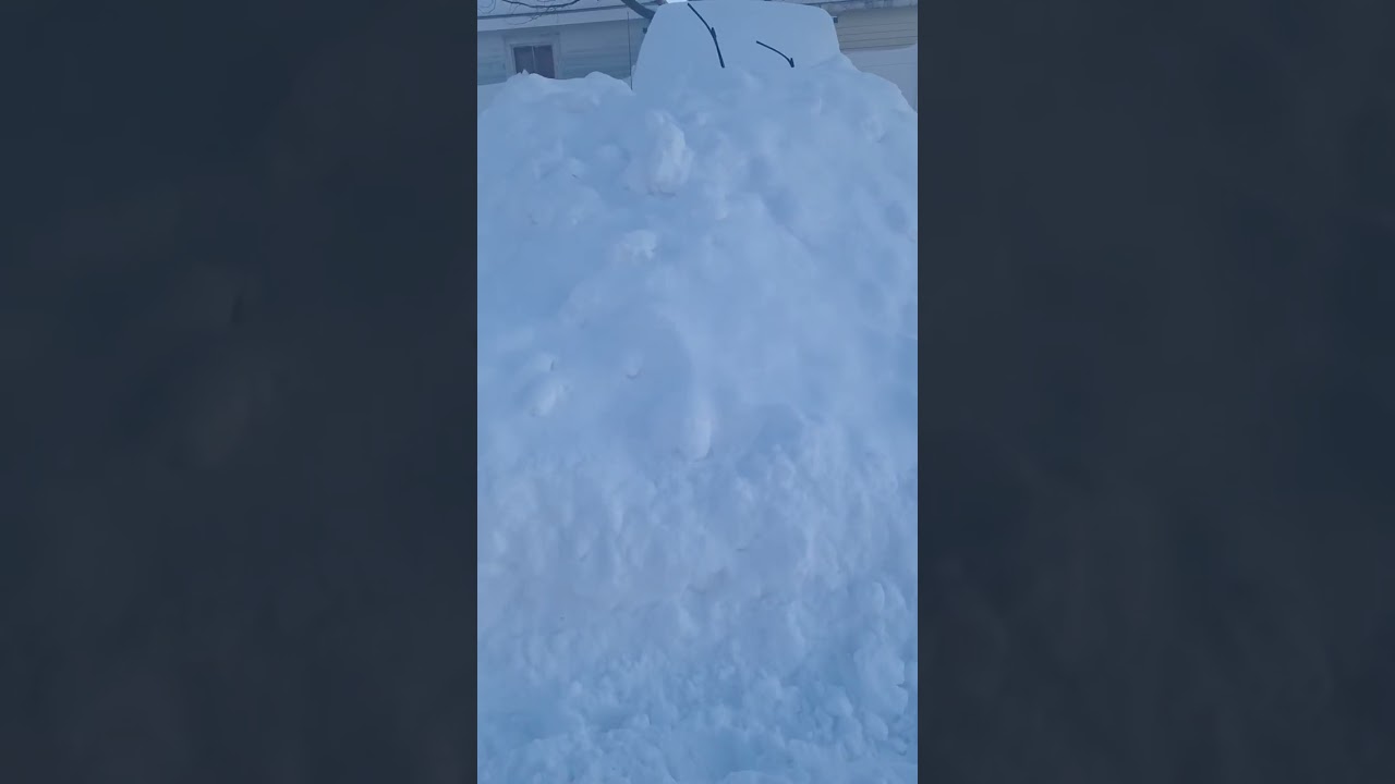 Time to Remove the Smow After the Storm Shovel and Drive. 