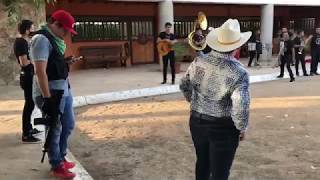 ASI SON LAS FIESTAS DE NARCOS EN SINALOA • MÉXICO 🇲🇽