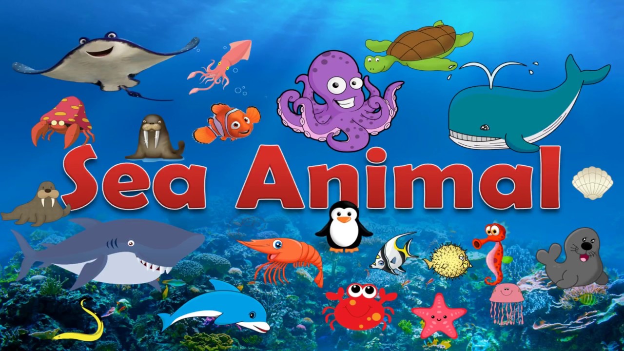 เรียนรู้คำศัพท์ภาษาอังกฤษเกี่ยวกับสัตว์ทะเล Sea animal คำศัพท์ภาษาอังกฤษในชีวิตประจำวัน | ข้อมูลล่าสุดเกี่ยวกับอาหาร ทะเล ภาษา อังกฤษ