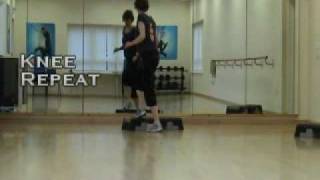Intermediate Step May 2009