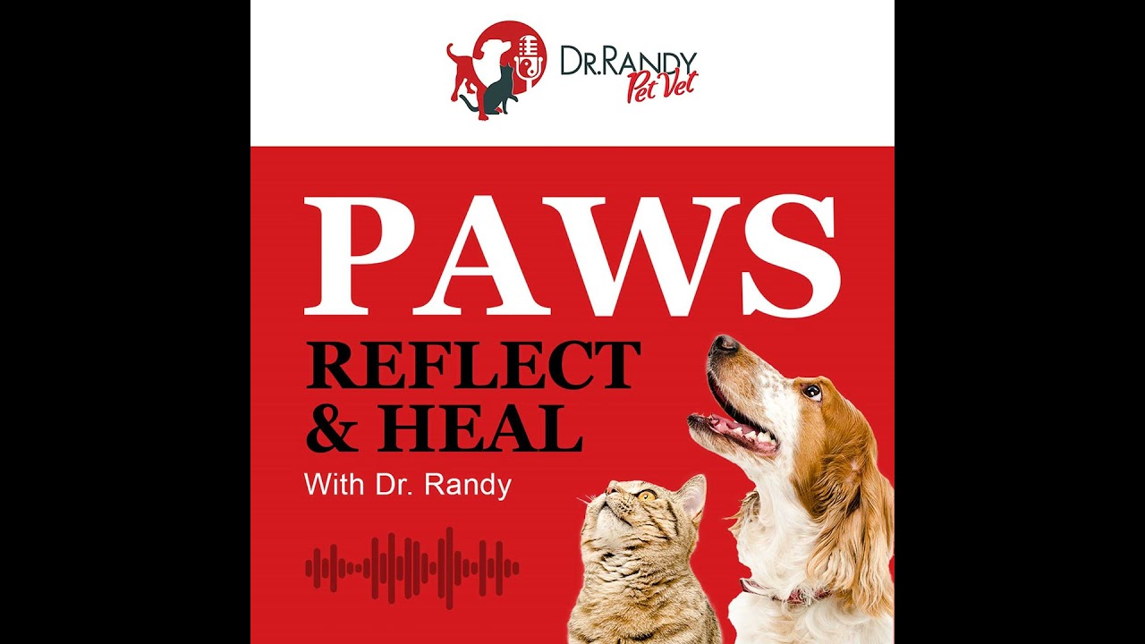 What is Integrative Medicine?