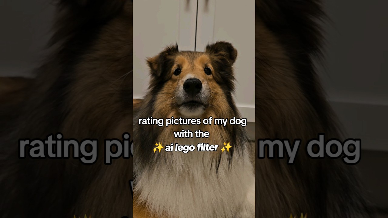 which is your favorite? 😂 