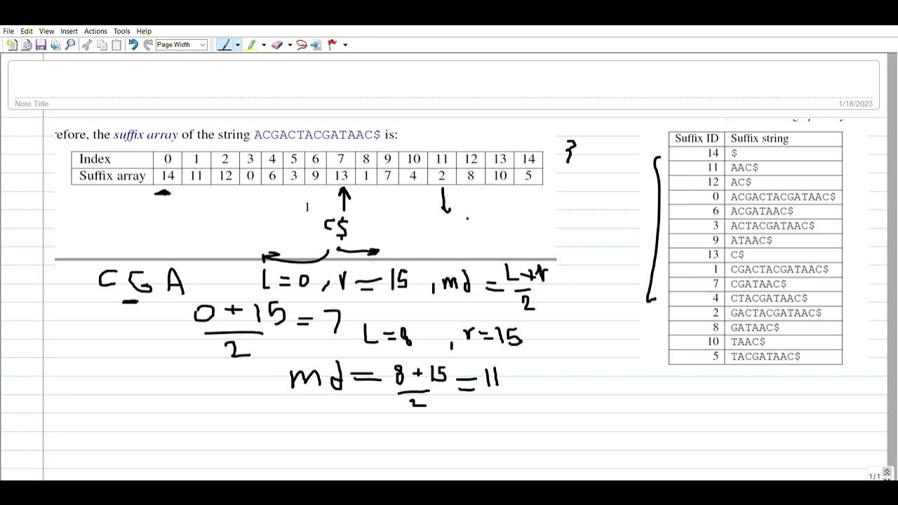 Search in Suffix Array - YouTube