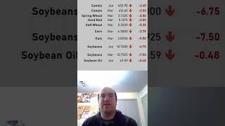Morning Market Update: Canola, U.S. grains, oilseeds down | Dec. 15, 2025