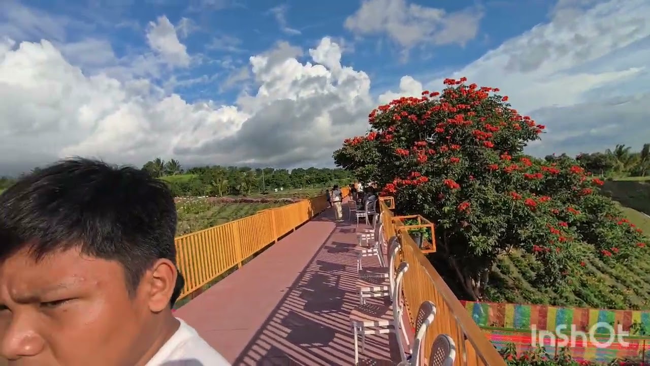 EUPHORIA flower farm and adventure park @tupi south cotabato//PHIL