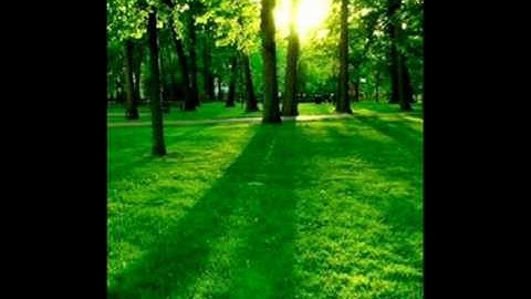 Thumbnail of Expressions - Helen Jane Long