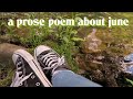 the light in june | a prose poem