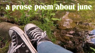 the light in june | a prose poem
