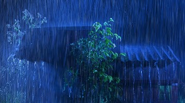 Goodbye Insomnia with Heavy Rain & Thunder Growls on a Stale Tin Roof in Foggy Murky Forest at Night