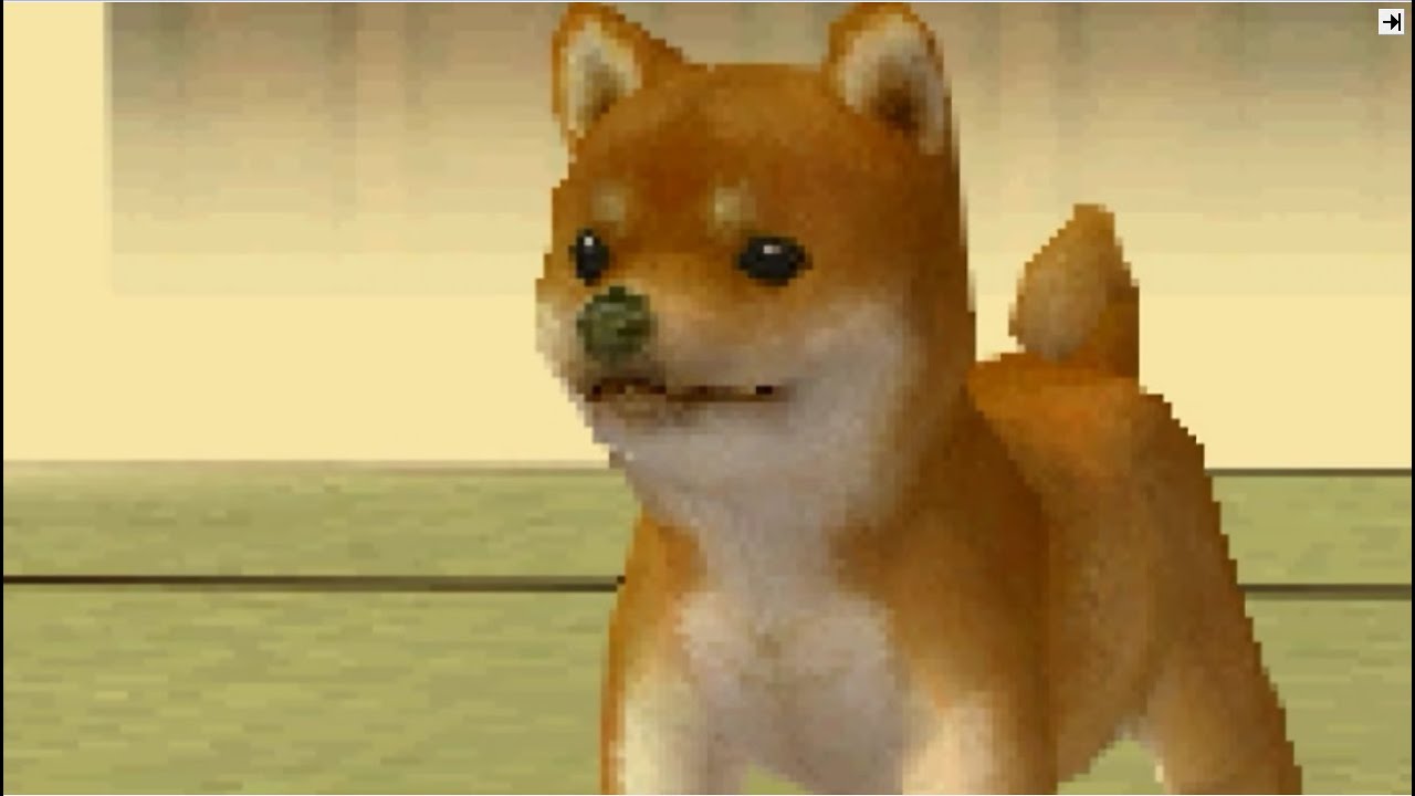 実況 ペット 飼い始めました その1 Nintendogs Youtube