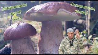 видео: Белый грибопад. Они везде! Целые поляны! #мавасе #mushroom #грибалка #белыегрибы #грибыленобласть  картинка: Белый грибопад. Они везде! Целые поляны! #мавасе #mushroom #грибалка #белыегрибы #грибыленобласть