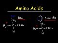 Amino Acids: Structure, Properties, and Behavior in Biological Systems