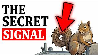 Decoding Squirrel Tails The Secret Language of Urban Predators