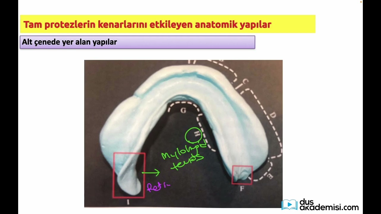 dusakademisi.com PROTETİK DİŞ TEDAVİSİ Paketi TAM 3 - Anatomik Yapılar Konu Anlatımı