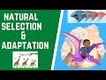 Natural Selection and Adaptation Quiz