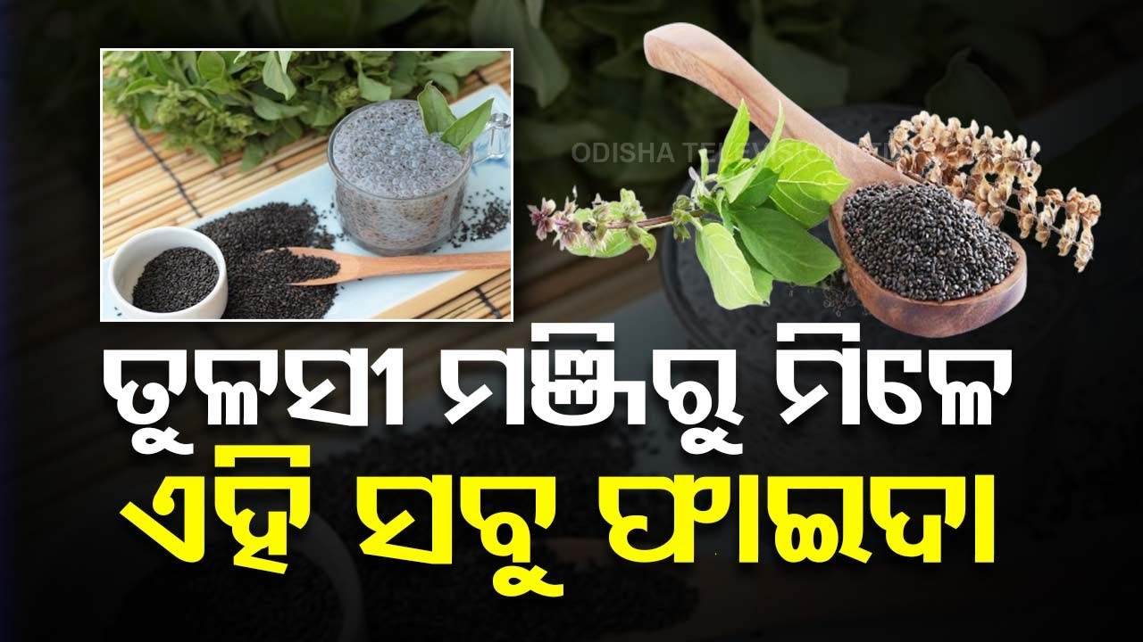 Stay Fit | Know Benefits of Having Tulsi Seeds Every Morning