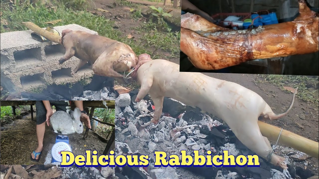 How to Cook Lechon Rabbit- Rabitchon Step By Step Tutorial - YouTube