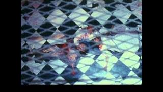 Jalim Jahan Berang Hai (Full Song), Film - Rakshak