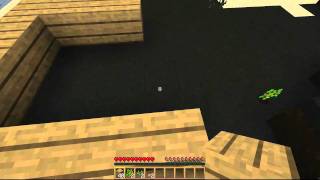 Minecraft ScreenFlow Test