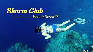 Sharm Club Beach Resor.Снорк у голубого рифа.