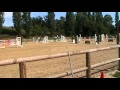 Amina z showjumping