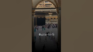 سورة النجم آية 39 ~ 40سعد الغامدي
