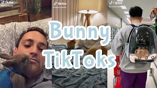 Bunny TikToks | Mr. Demon
