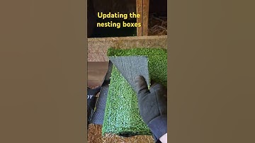 cleaning out and updating the nesting boxes