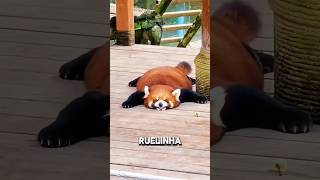 Esse bicho parece um POKÉMON da vida real! 🐾 #bicho #curiosidade #animal