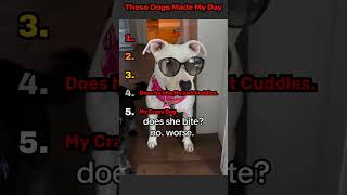 Ranking the funniest dog videos every day! Laugh, #funny #animalfun #dogcompilation #pets