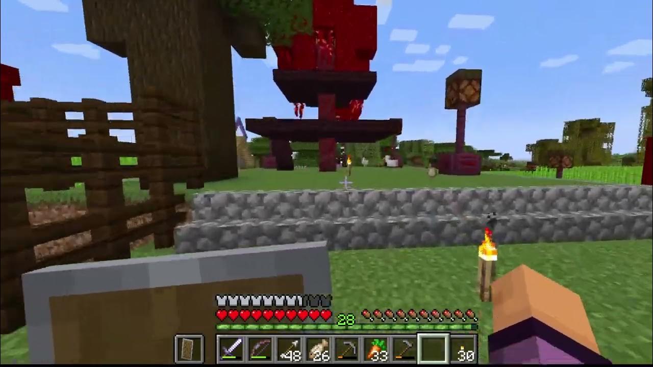 Minecraft raid ominous bottle bad omen iii part ii youtube