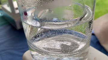 Lab 14: Molar Mass of a Volatile Liquid