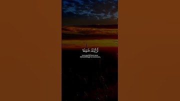 سورة الحشر القارئ رعد الكردي #quran #islam #explore #youtube
