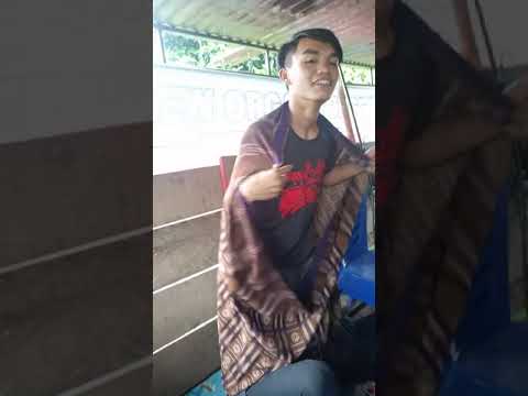 orgen tunggal AMR